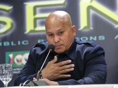 bato dela rosa