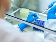 ‘VIPs’ vs commoners: How fast do they get their COVID-19 test results? Person in laboratory