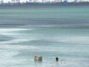 Amid COVID-19 crisis, Manila Bay discoloration is also a public health concern. Here’s why.