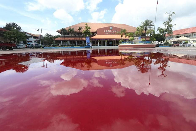In A Tribute To Frontliners Slammed As Empty Lapu Lapu City Hall Doused With Blood Colored Water