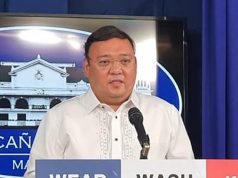 Harry Roque in briefing