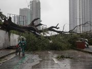 Rundown: Tropical storms, depression with high death tolls in Philippine history