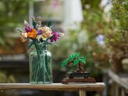 Plantitos and plantitas alert: How you can avoid plant poaching in indoor gardening LEGO Botanical Collection