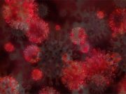 Why the COVID-19 variants are so dangerous and how to stop them spreading