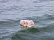 Calls for cheap alternative to plastic straws, stirrers sought ahead of nationwide ban