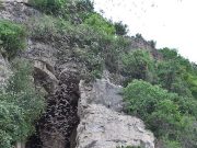In 2010, a virus similar to SARS-CoV-2 was already present in Cambodia
