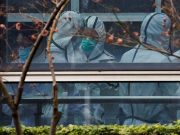 WHO-led COVID-19 probe team in China visits animal health facility