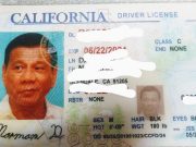 Fake driver's license