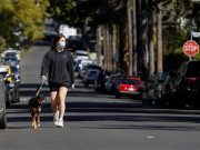 Lady Gaga’s dog walker says he is recovering from ‘very close call with death’