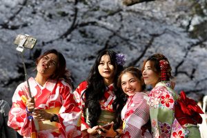 History Of Chasing The Fleeting Beauty Of Japan S Cherry Blossoms