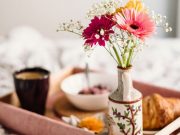 Breakfast tray in bed
