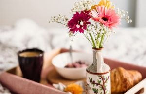Breakfast tray in bed
