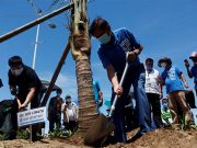 From dolomite to coconut trees: Manila Baywalk gets new makeover ahead of reopening