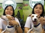 First National Aspin Day hopes to spotlight Pinoy dogs