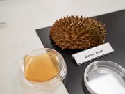 Scientists in Singapore transform fruit leftovers into antibacterial bandages
