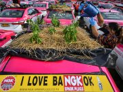 Green-thumbed Thai cabbies turn taxis into gardens amid COVID-19 crunch