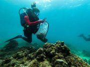 Divers clear plastic waste from Batangas corals for World Cleanup Day