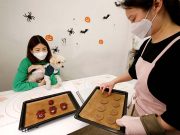 South Korean bakes ‘Squid Game’-themed Halloween dog treats