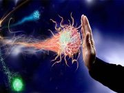Your immune system is as unique as your fingerprint – new study