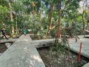 Citing trees cut down, advocates renew call to save Manila’s Arroceros Forest Park