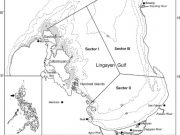 Why UPMSI is opposing offshore mining project in Lingayen Gulf