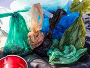 Green groups renew demand for plastic waste data from e-commerce firms amid 11/11 sale