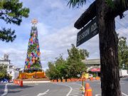 ‘Growth amid pandemic’: Baguio City unveils symbolic Christmas tree