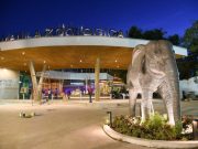 Calls to ‘treat animals better’ raised amid sneak peek of renovated Manila Zoo