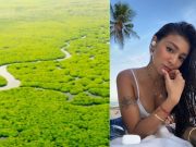‘Save the mangroves’: Nadine Lustre joins calls to save nature’s ‘shield vs typhoons’