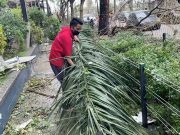 Death toll from Typhoon ‘Odette’ climbs to 208 —PNP