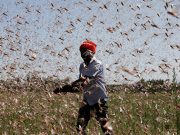 From killer heatwaves to floods, climate change worsened weather extremes in 2021