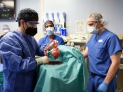 U.S. man recovering after ‘breakthrough’ pig-heart transplant