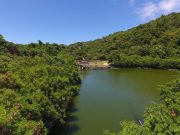 Rehabilitated Boracay wetlands showcased as Philippines marks World Wetlands Day