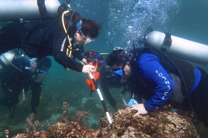 DENR, BFAR Personnel Undergo Underwater Crime Scene Investigation Training