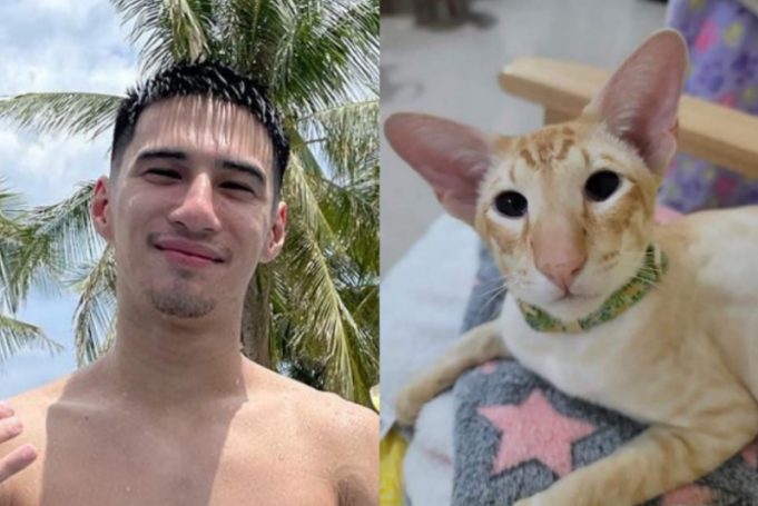 cat casino бонусы