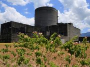IAEA says a dozen countries to be equipped with nuclear power
