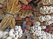 Caritas Philippines calls for more gov’t support to onion farmers