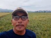 Nueva Ecija farmer grieves after ‘Karding’ ravages their rice field