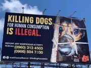 Billboard in Nueva Ecija promotes campaign to end dog meat trade