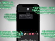Chinese text scam