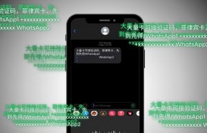 Chinese text scam