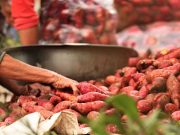 ‘Kamote as rice alternative?’: Reactions to solon’s suggestion for possible rice shortage Sweet potatoes