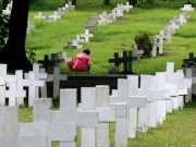 Go green on ‘Undas,’ public told