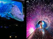 LOOK: A 3D Whale Shark Billboard, Space Tunnel, Golden Gateway and Dazzling Light shows take over the Holidays in Manila