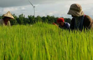 Farmers on a field