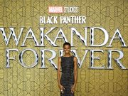 ‘Black Panther’ stars say film changed perceptions of Africa