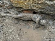 ‘Exceptional’ discovery as ancient bronze statues emerge in Tuscany