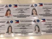 PWD IDs