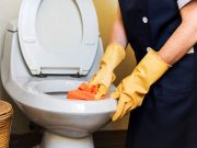 Toilet seat