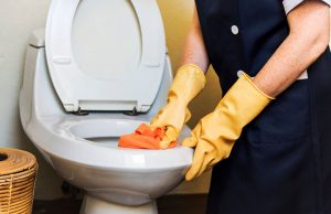 Toilet seat